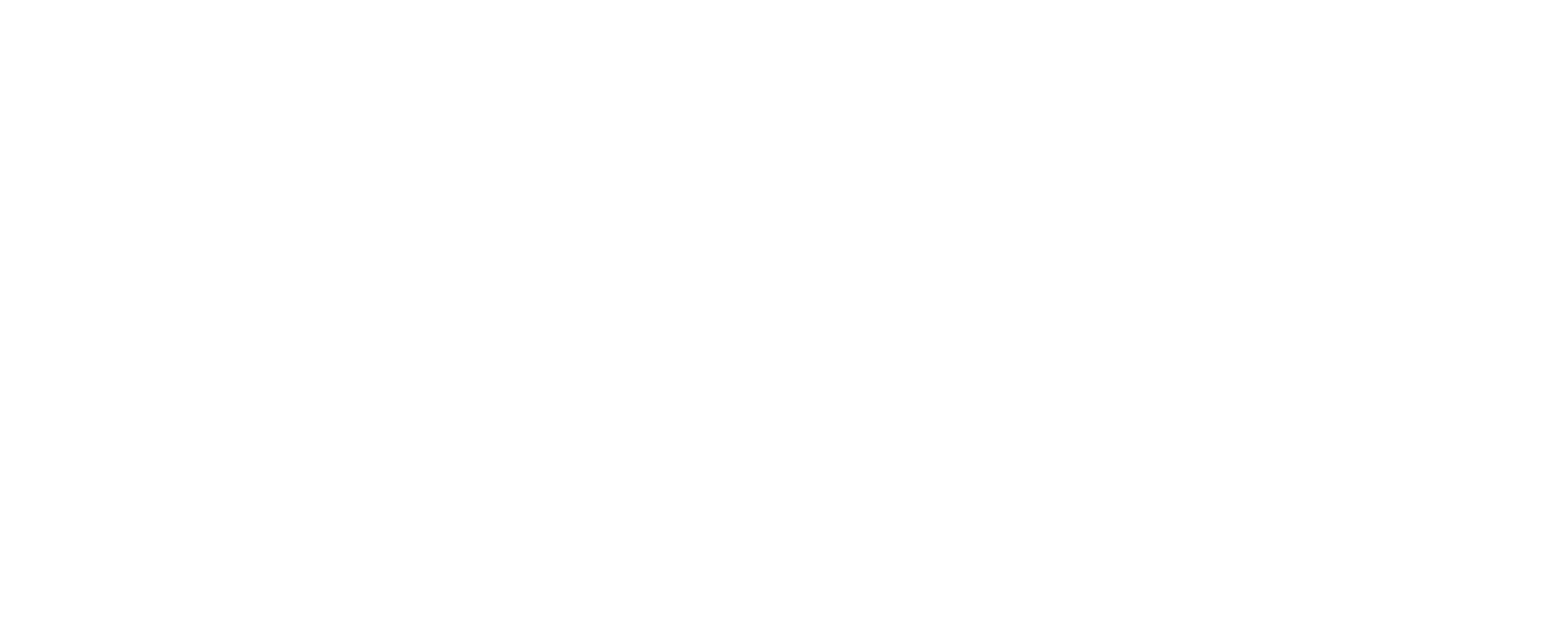 SmartTravels